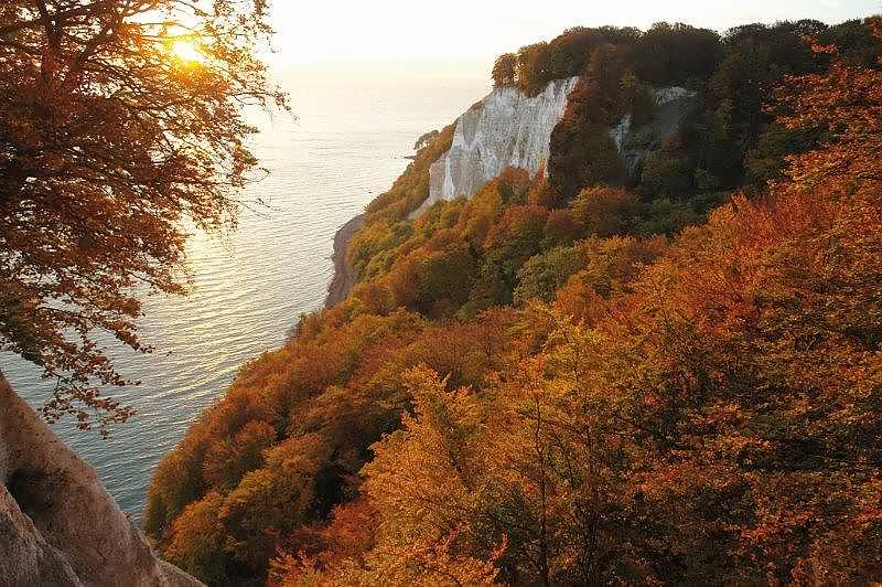 Nationalpark Jasmund mit Kreidefelsen und Buchenwald – UNESCO-Welterbe auf der Insel Rügen in MV